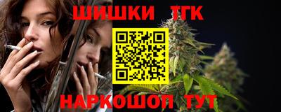 СК Дубна