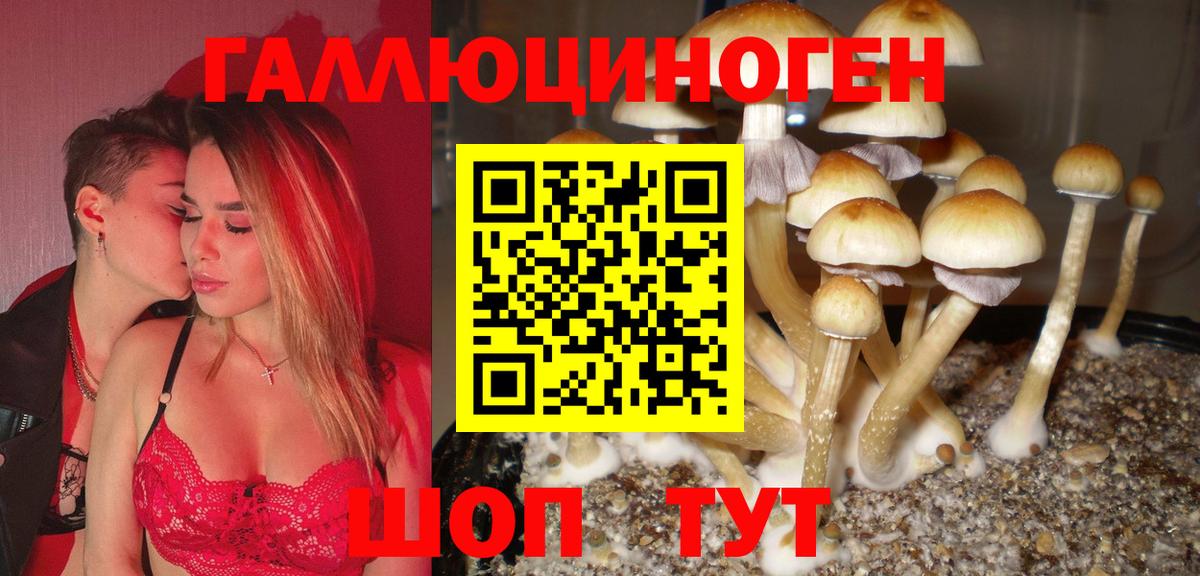 Галлюциногенные грибы мухоморы Мичуринск